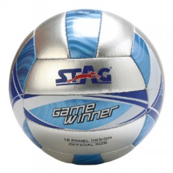 STAG Volley Ball Game Winner